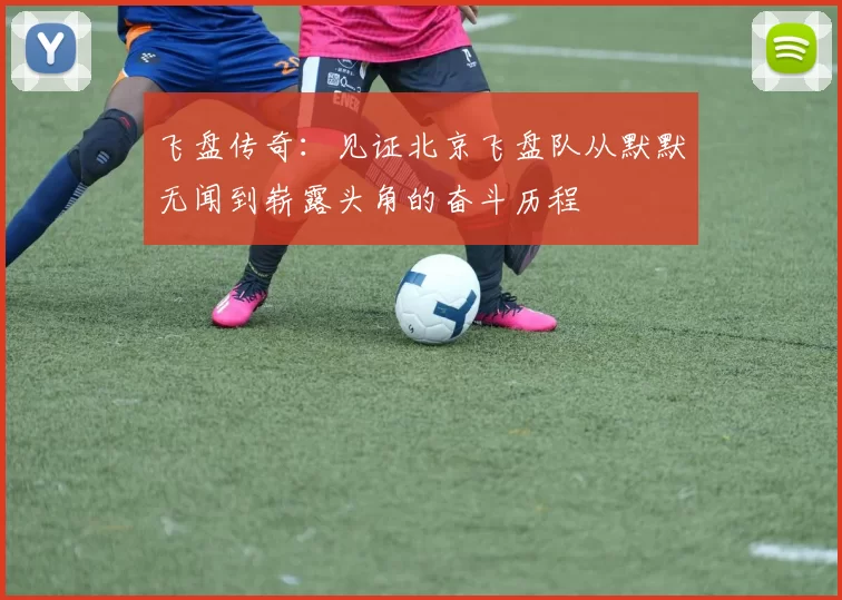 飞盘传奇：见证北京飞盘队从默默无闻到崭露头角的奋斗历程