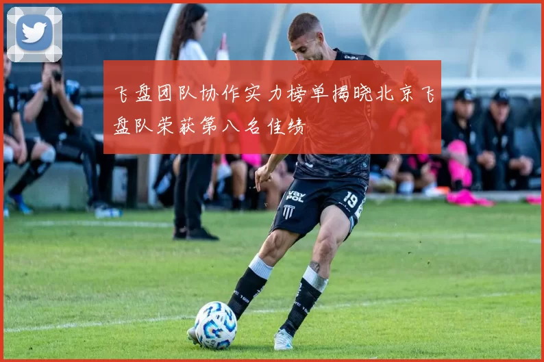 飞盘团队协作实力榜单揭晓北京飞盘队荣获第八名佳绩