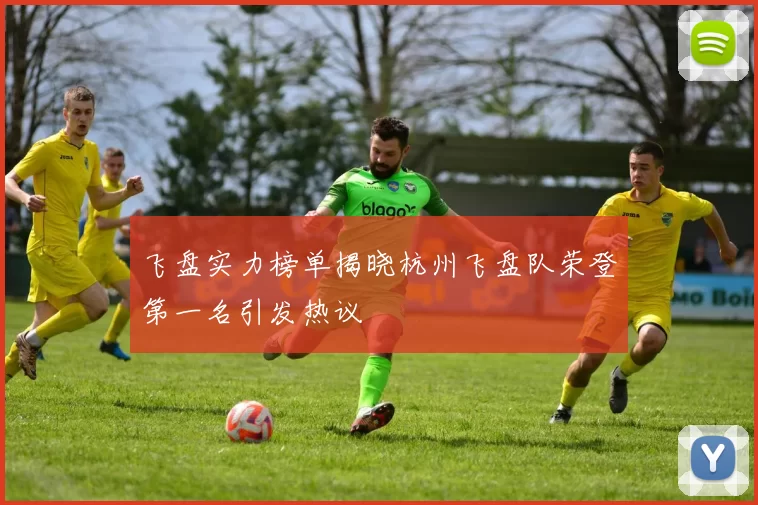 飞盘实力榜单揭晓杭州飞盘队荣登第一名引发热议