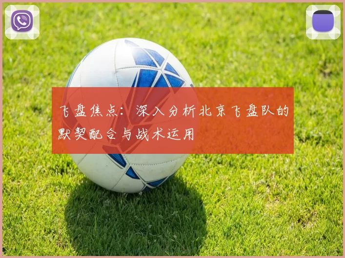 飞盘焦点：深入分析北京飞盘队的默契配合与战术运用