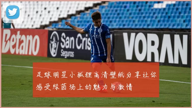 足球明星小狐狸高清壁纸分享让你感受绿茵场上的魅力与激情