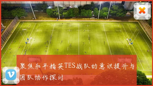 聚焦和平精英TES战队的意识提升与团队协作探讨