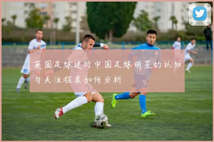 英国足球迷对中国足球明星的认知与关注程度如何分析