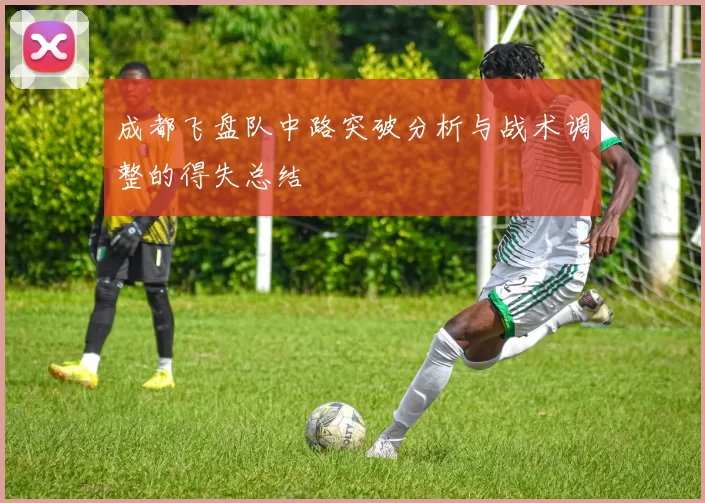 成都飞盘队中路突破分析与战术调整的得失总结