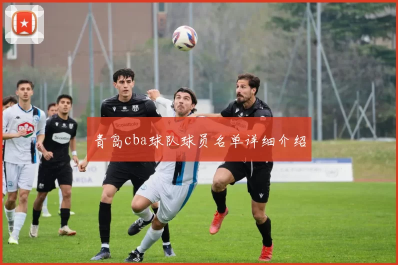 青岛cba球队球员名单详细介绍