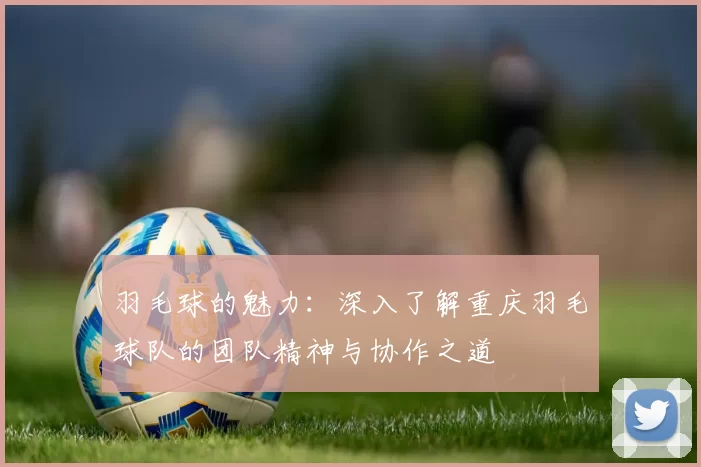 羽毛球的魅力：深入了解重庆羽毛球队的团队精神与协作之道