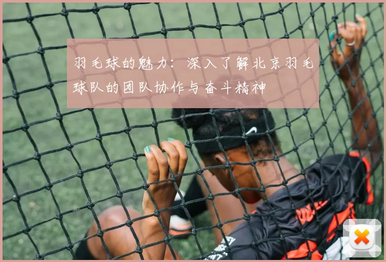 羽毛球的魅力：深入了解北京羽毛球队的团队协作与奋斗精神