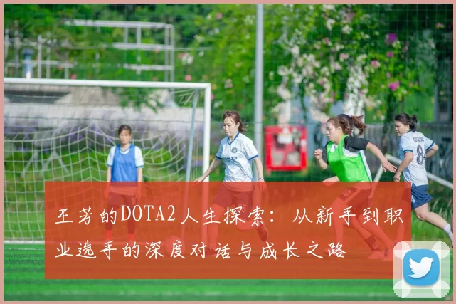 王芳的DOTA2人生探索：从新手到职业选手的深度对话与成长之路