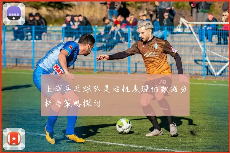 上海乒乓球队灵活性表现的数据分析与策略探讨