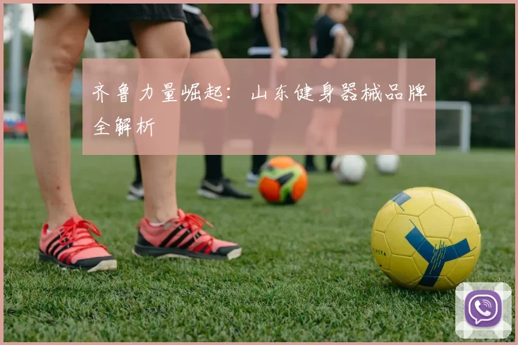 齐鲁力量崛起：山东健身器械品牌全解析