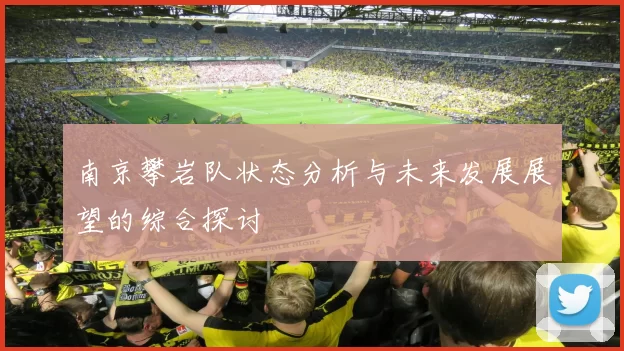 南京攀岩队状态分析与未来发展展望的综合探讨
