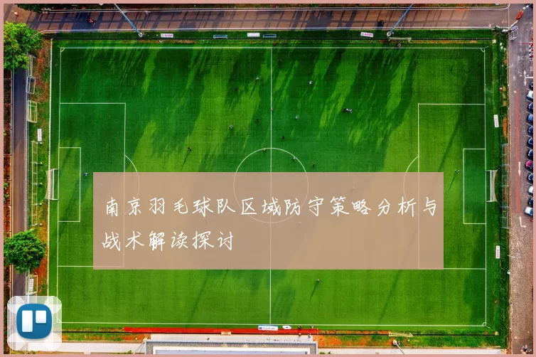 南京羽毛球队区域防守策略分析与战术解读探讨