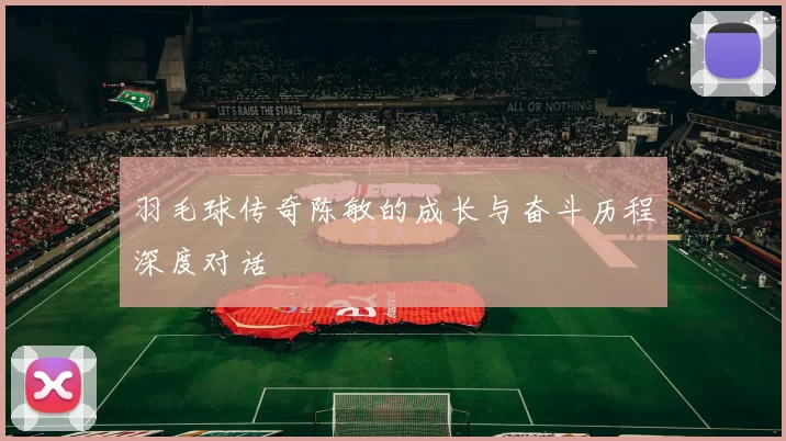 羽毛球传奇陈敏的成长与奋斗历程深度对话