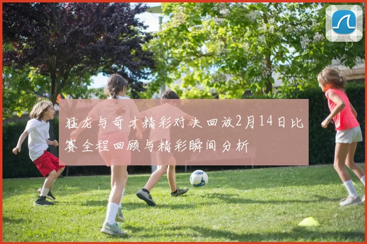 猛龙与奇才精彩对决回放2月14日比赛全程回顾与精彩瞬间分析