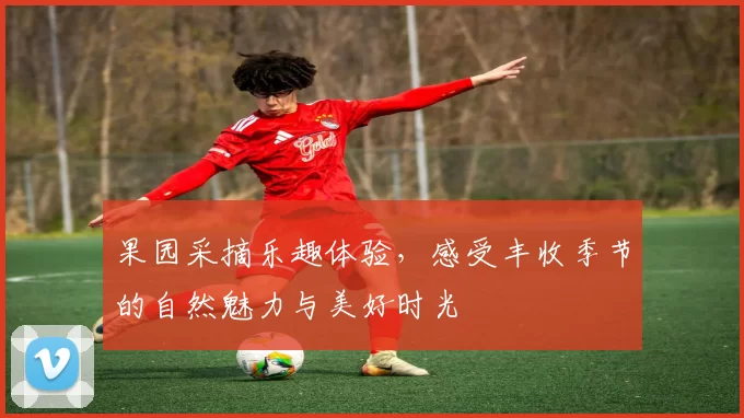 果园采摘乐趣体验，感受丰收季节的自然魅力与美好时光