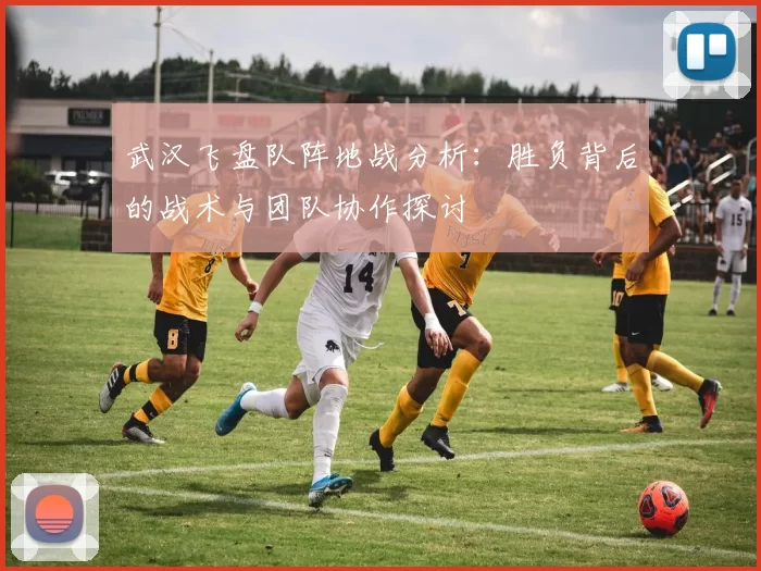 武汉飞盘队阵地战分析：胜负背后的战术与团队协作探讨