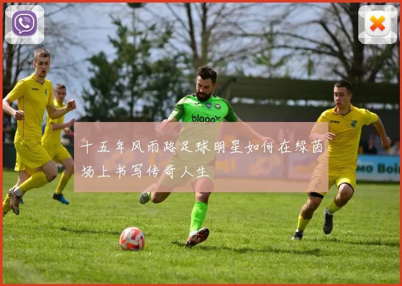 十五年风雨路足球明星如何在绿茵场上书写传奇人生
