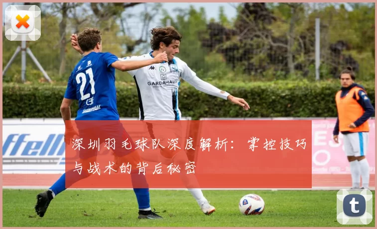 深圳羽毛球队深度解析：掌控技巧与战术的背后秘密
