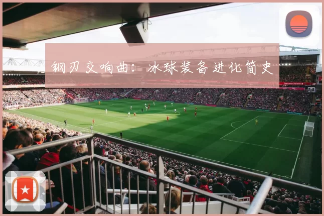 钢刃交响曲：冰球装备进化简史